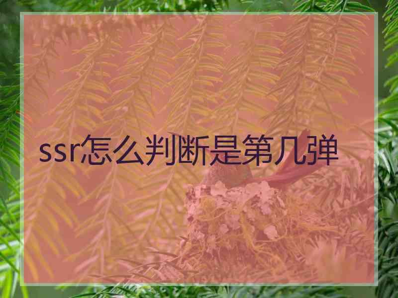ssr怎么判断是第几弹