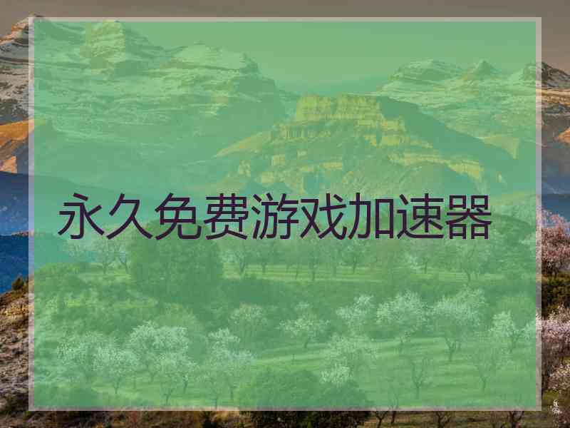 永久免费游戏加速器