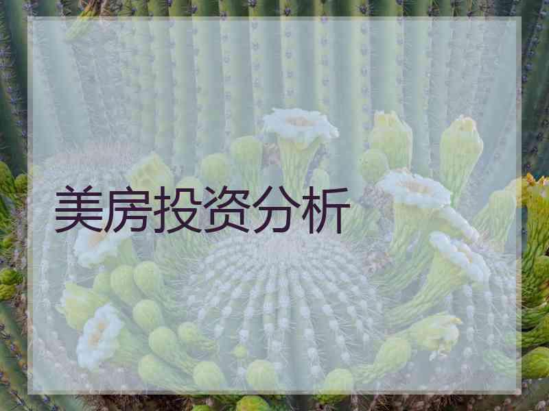 美房投资分析