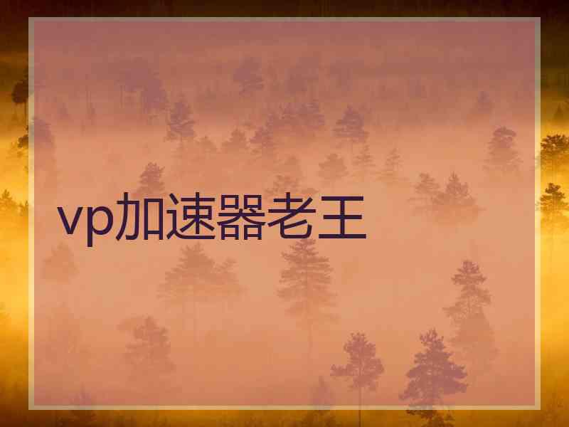 vp加速器老王