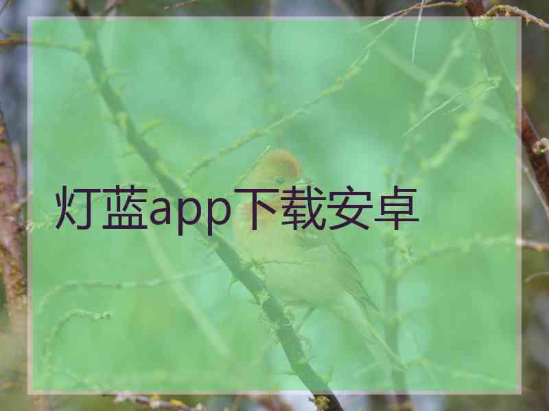 灯蓝app下载安卓