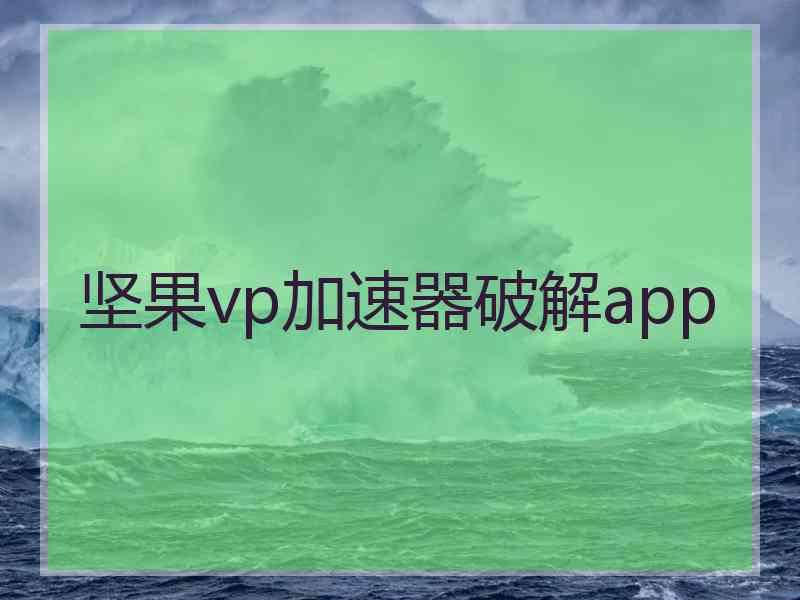 坚果vp加速器破解app