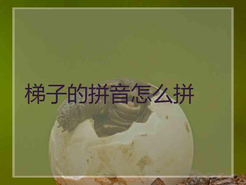 梯子的拼音怎么拼