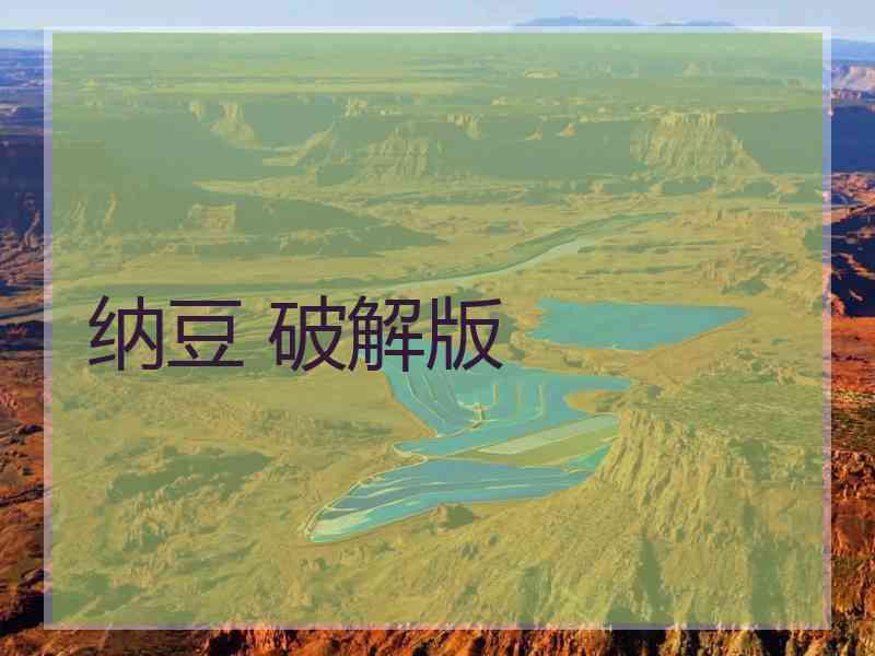 纳豆 破解版