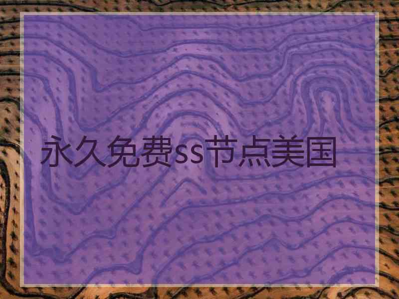 永久免费ss节点美国
