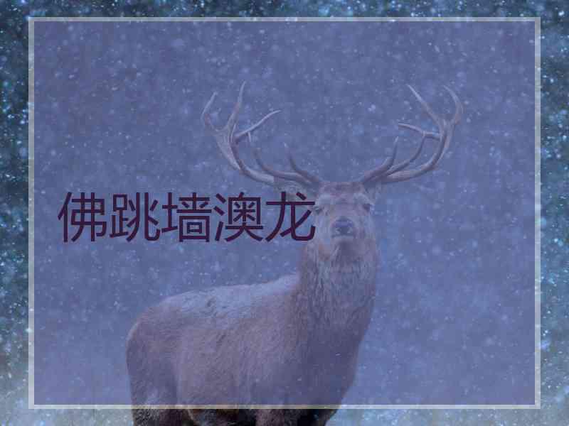 佛跳墙澳龙