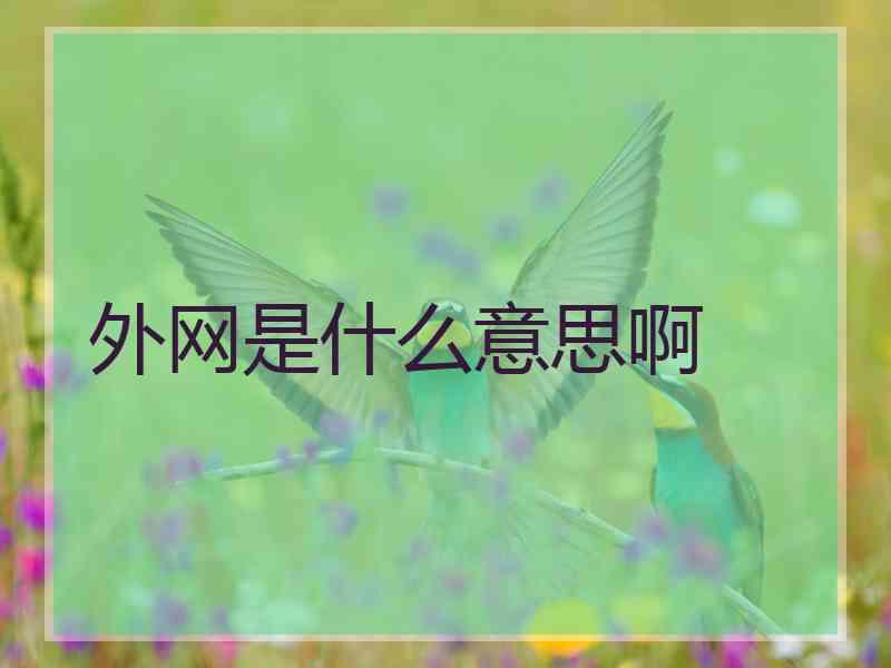 外网是什么意思啊