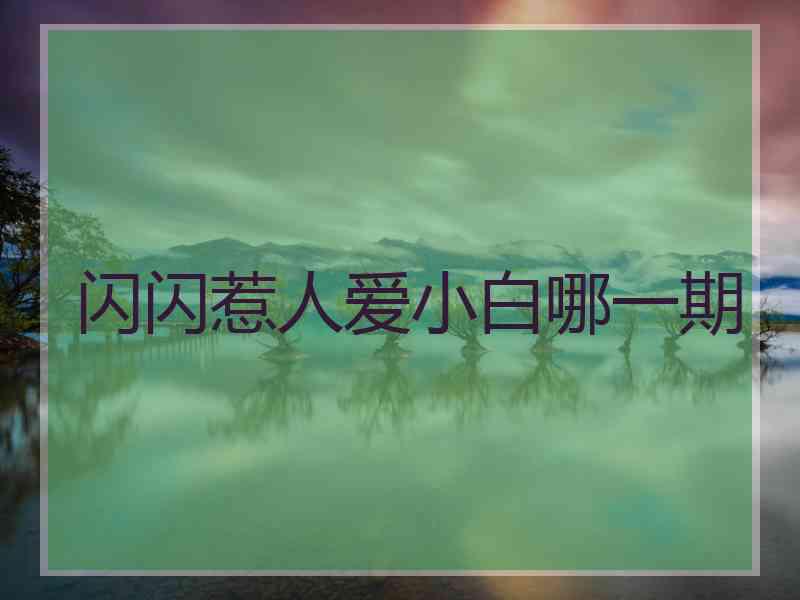 闪闪惹人爱小白哪一期