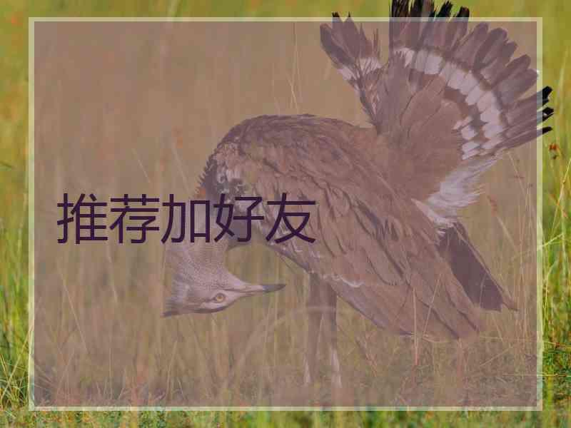 推荐加好友