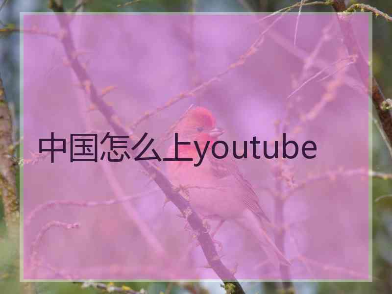 中国怎么上youtube