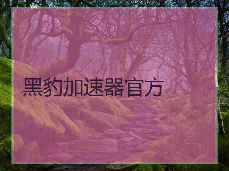 黑豹加速器官方