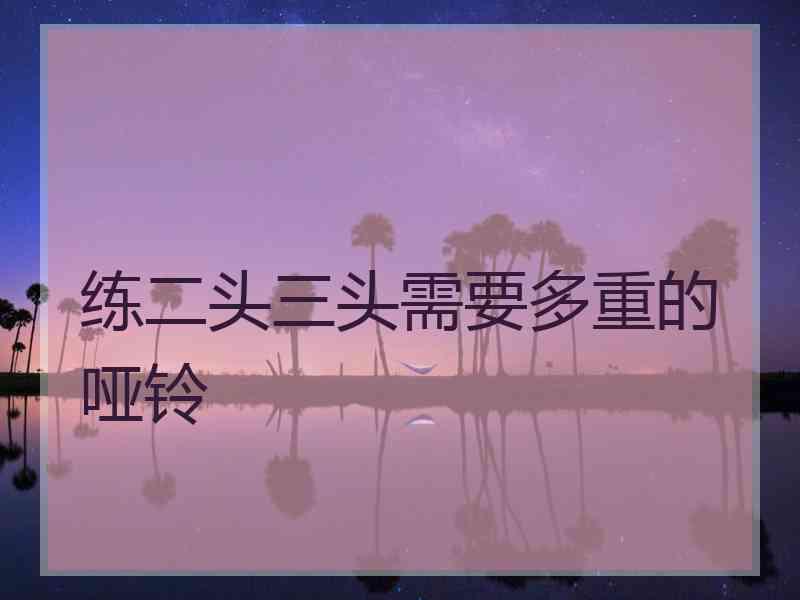 练二头三头需要多重的哑铃