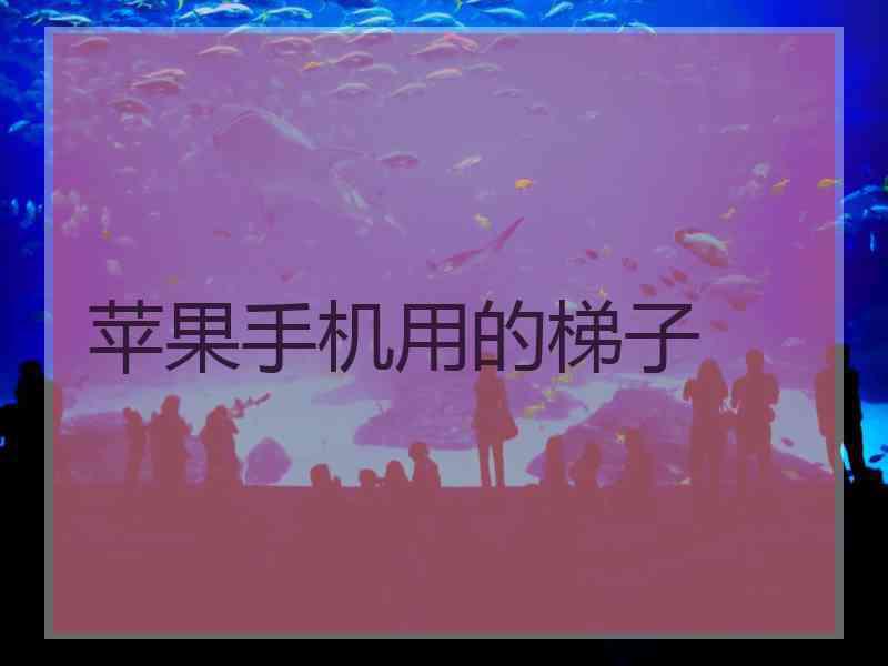 苹果手机用的梯子