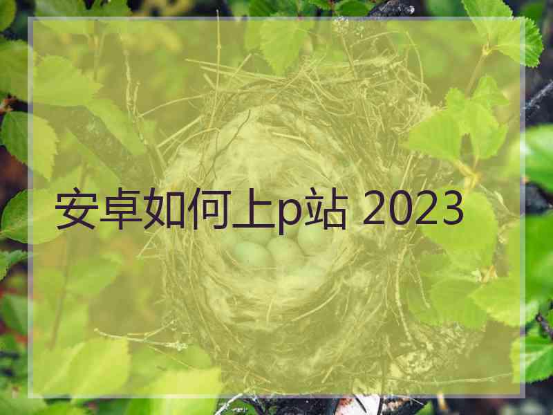 安卓如何上p站 2023