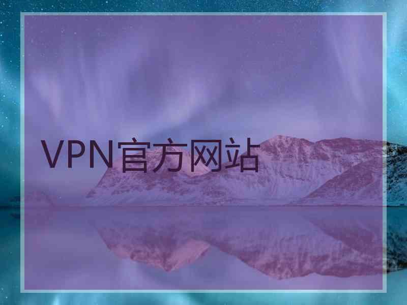 VPN官方网站