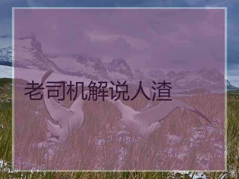 老司机解说人渣