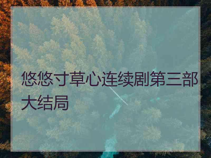 悠悠寸草心连续剧第三部大结局