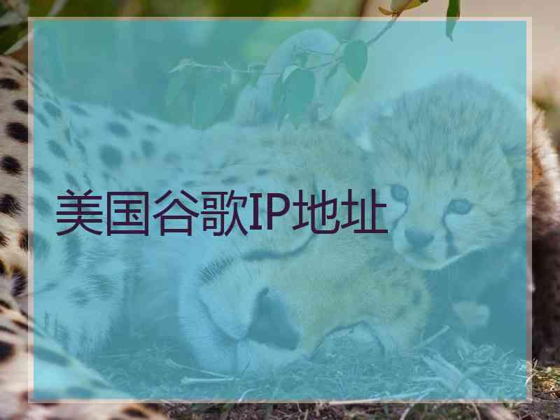 美国谷歌IP地址