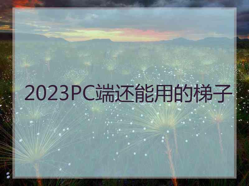 2023PC端还能用的梯子