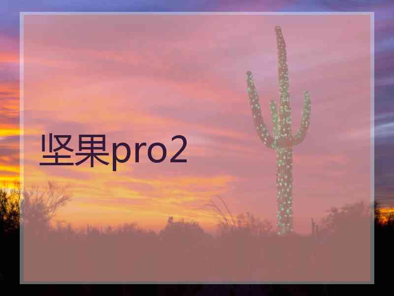 坚果pro2