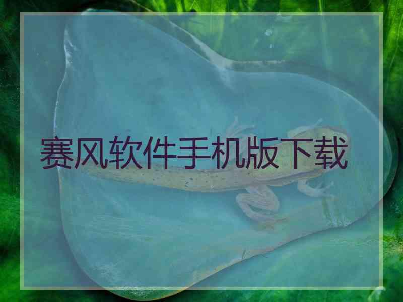赛风软件手机版下载