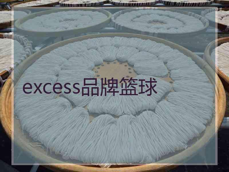 excess品牌篮球