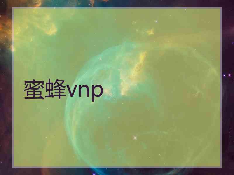 蜜蜂vnp