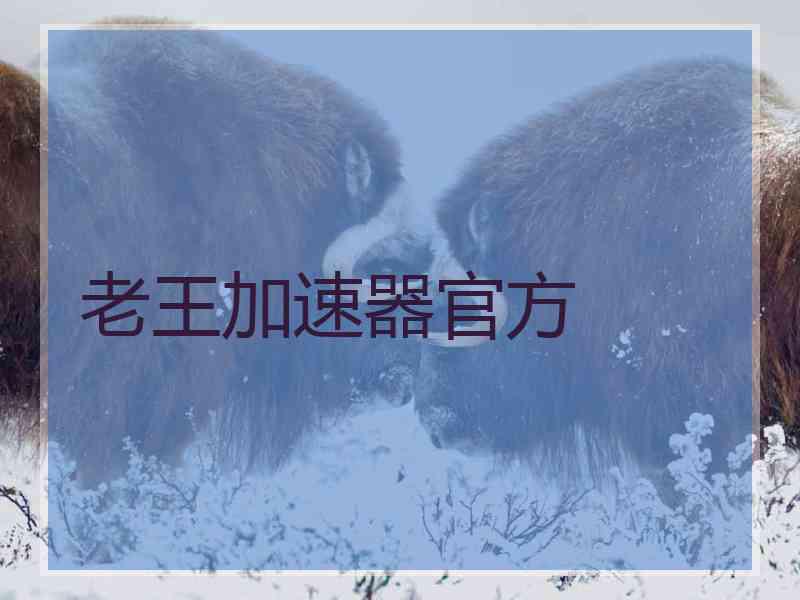 老王加速器官方