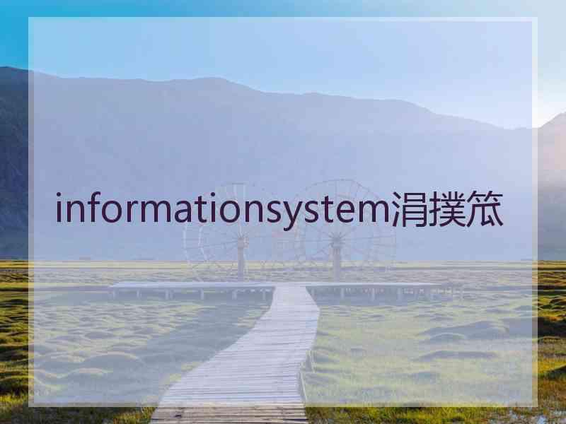 informationsystem涓撲笟