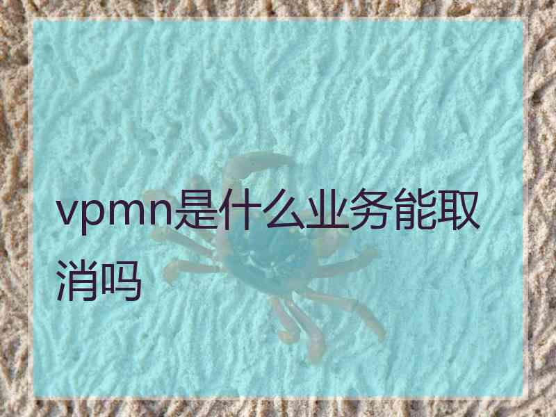 vpmn是什么业务能取消吗