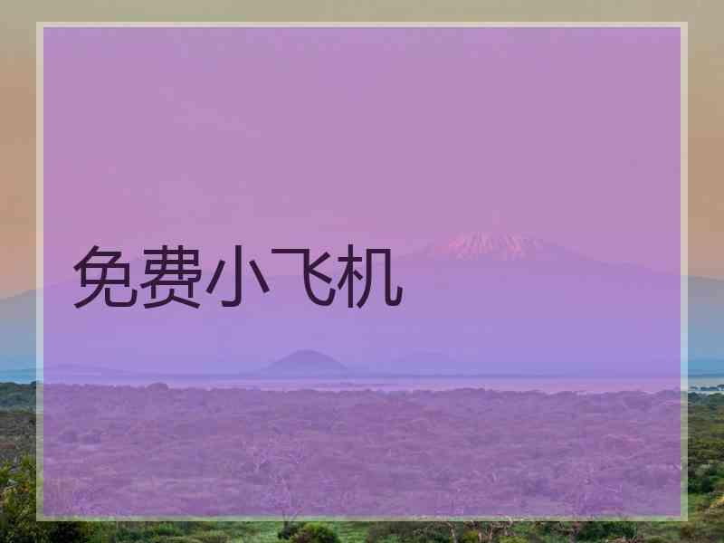 免费小飞机
