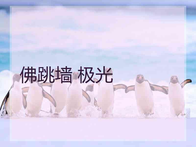 佛跳墙 极光