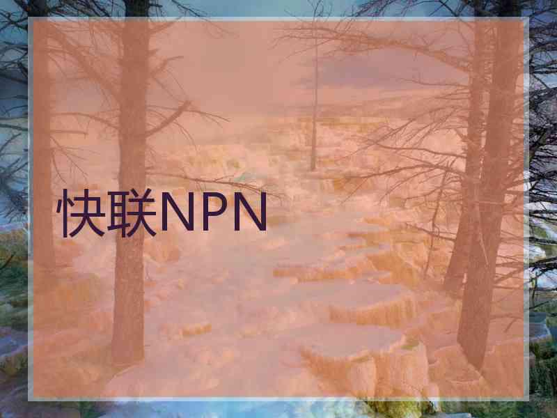 快联NPN