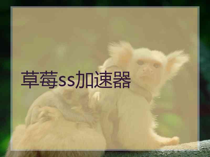 草莓ss加速器
