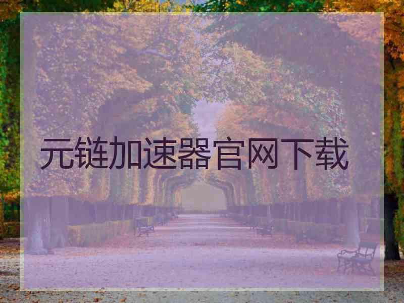 元链加速器官网下载