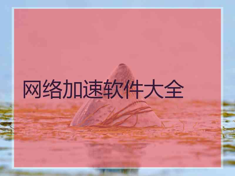 网络加速软件大全