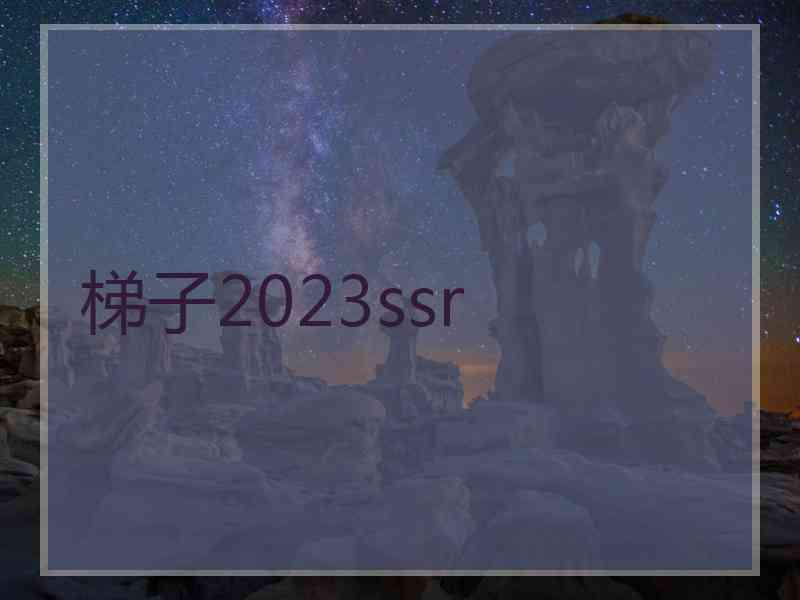 梯子2023ssr