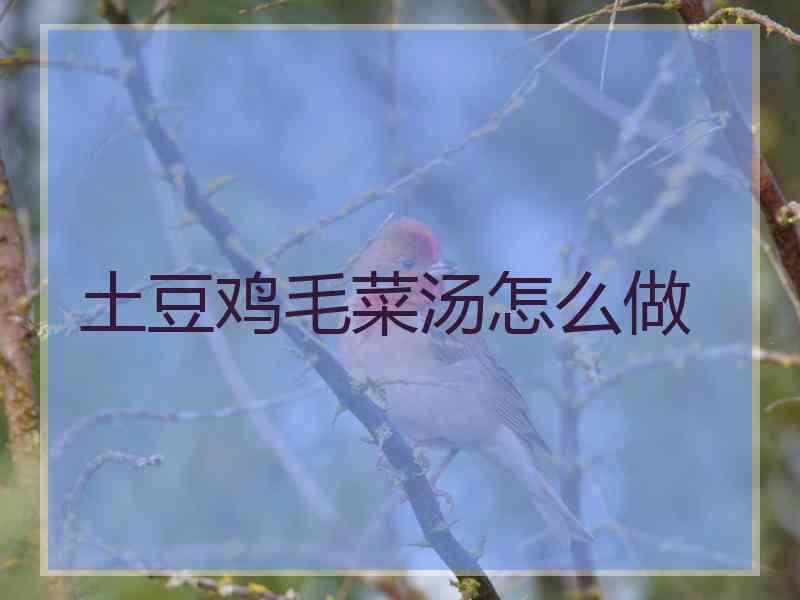 土豆鸡毛菜汤怎么做