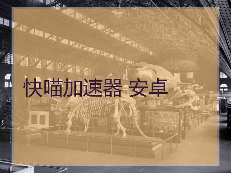 快喵加速器 安卓