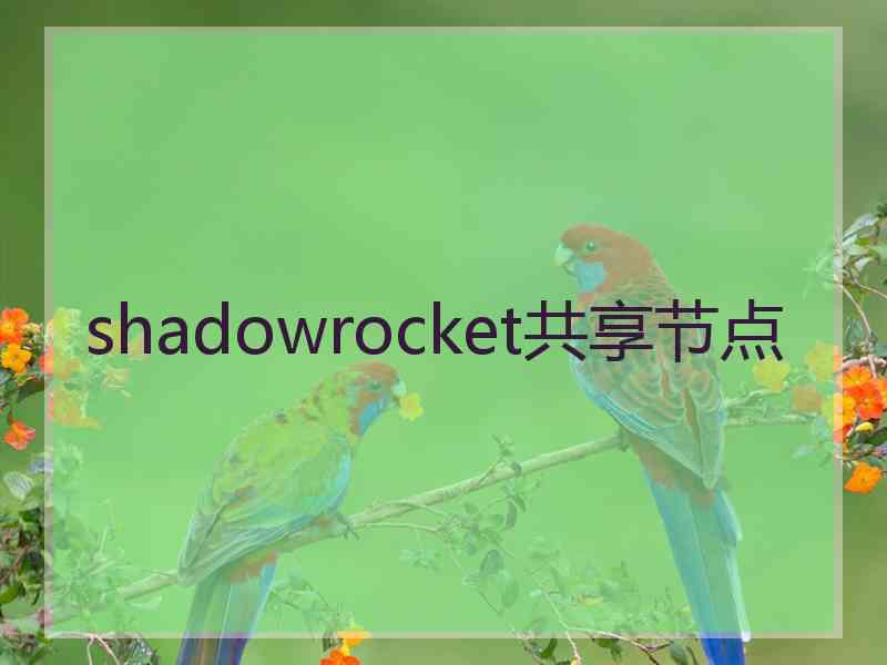 shadowrocket共享节点