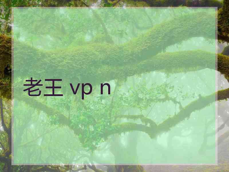 老王 vp n