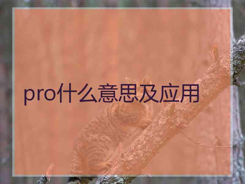 pro什么意思及应用