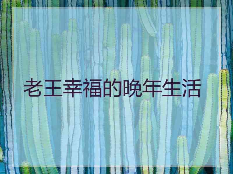老王幸福的晚年生活
