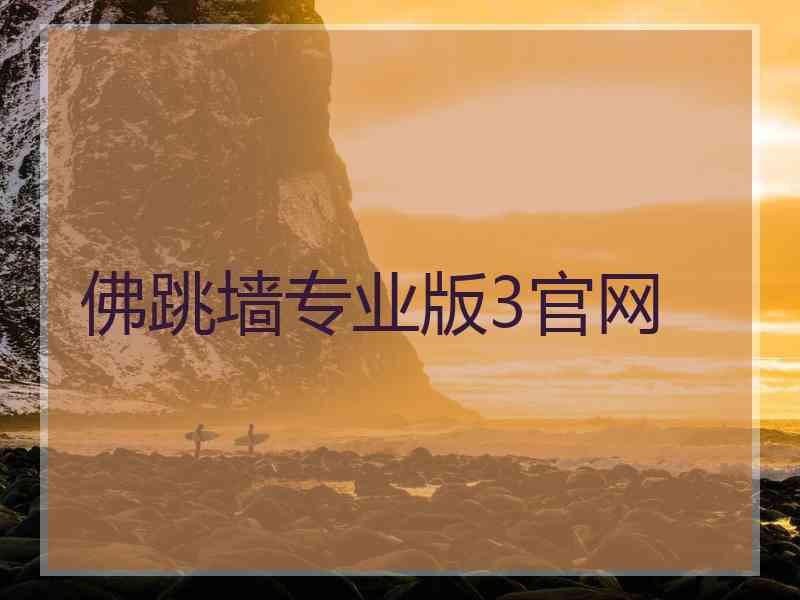 佛跳墙专业版3官网