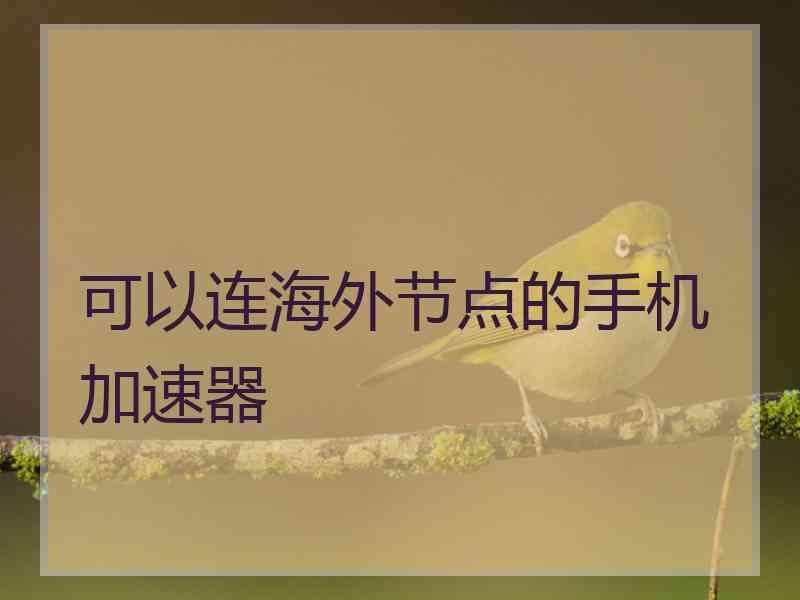 可以连海外节点的手机加速器