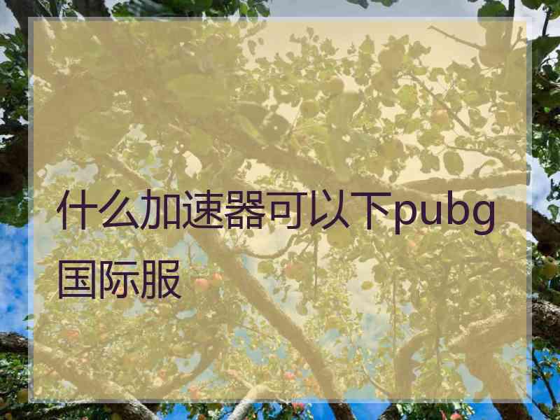 什么加速器可以下pubg国际服