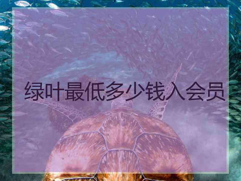 绿叶最低多少钱入会员