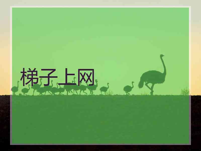 梯子上网