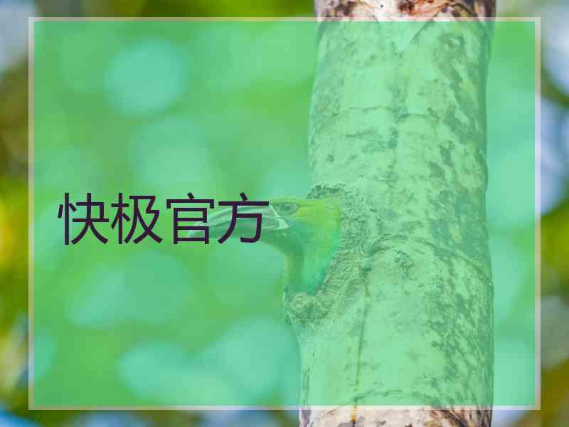 快极官方