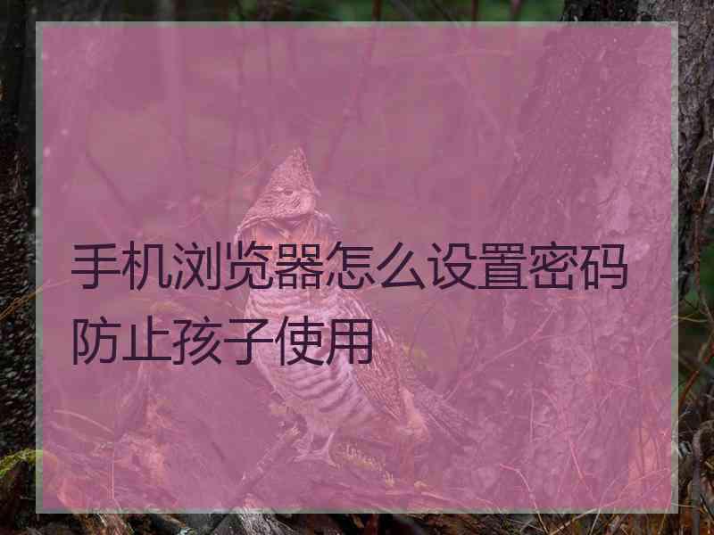 手机浏览器怎么设置密码防止孩子使用